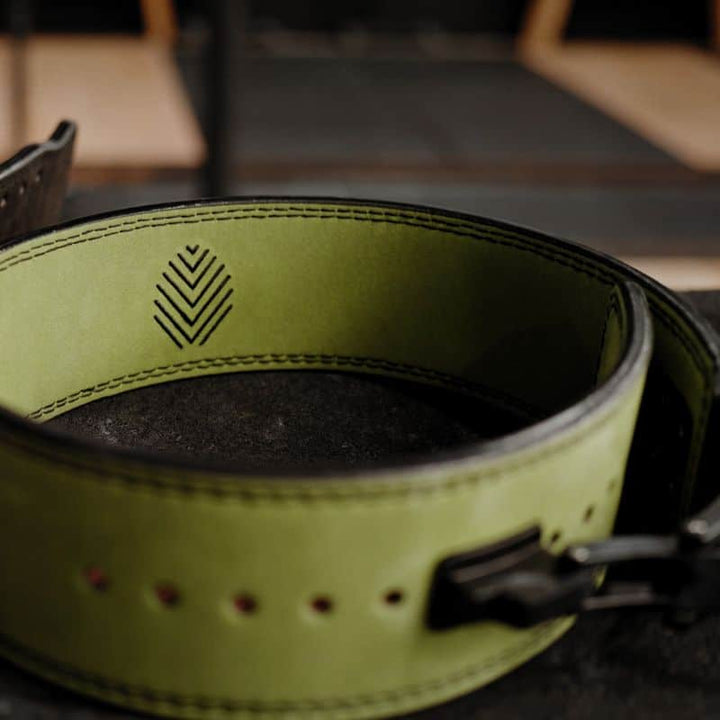 PFP Lifting Belt