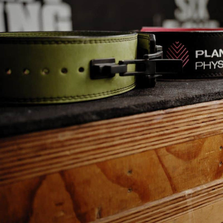 PFP Lifting Belt