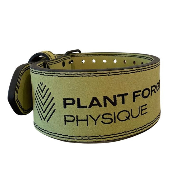 PFP Lifting Belt