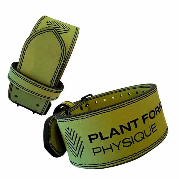 PFP Lifting Belt